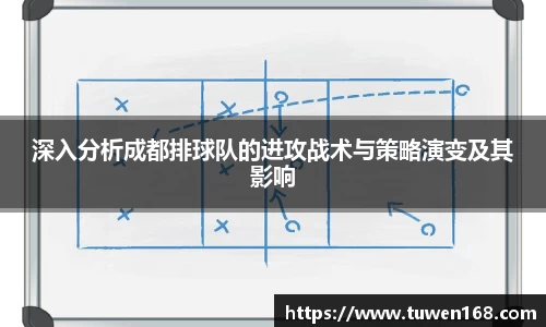 球速体育官网