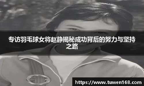 球速体育平台